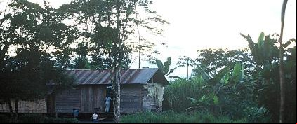 Chinimpi 26
