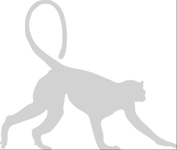 Monkey!